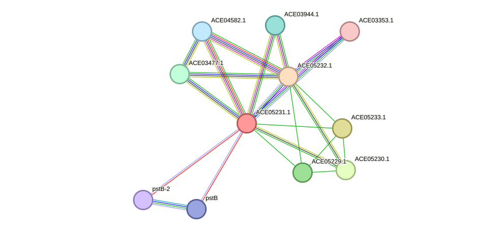 STRING protein interaction network