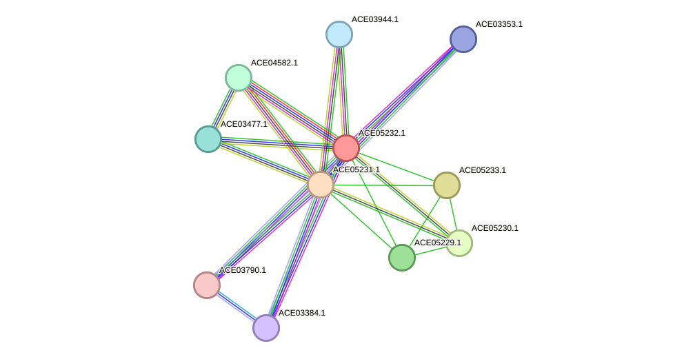 STRING protein interaction network