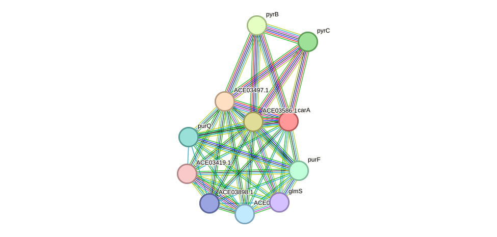 STRING protein interaction network