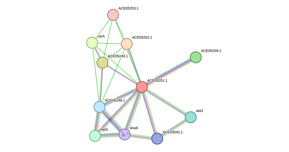 STRING protein interaction network