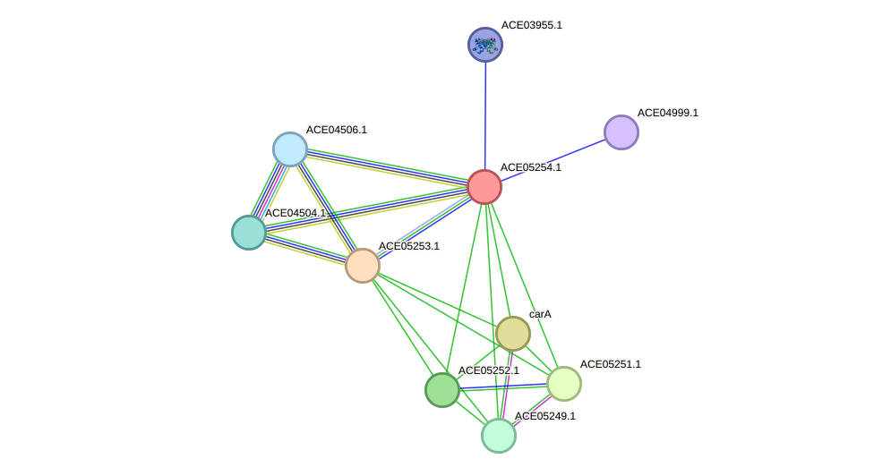 STRING protein interaction network