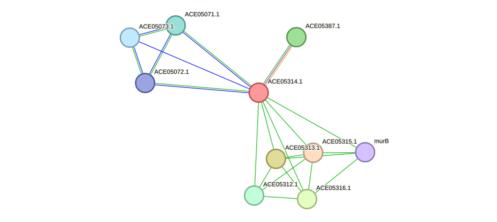 STRING protein interaction network