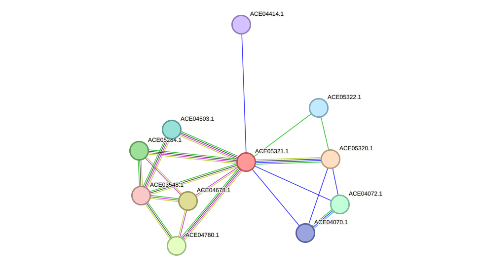 STRING protein interaction network