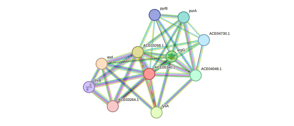 STRING protein interaction network