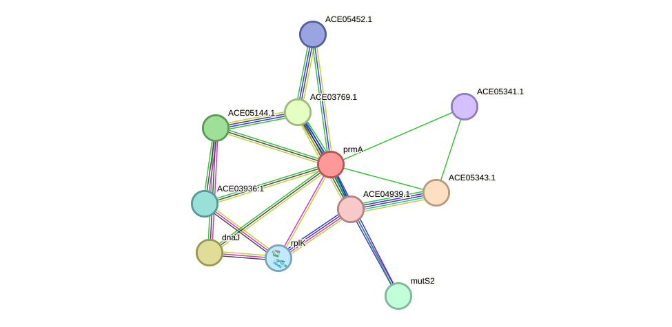 STRING protein interaction network