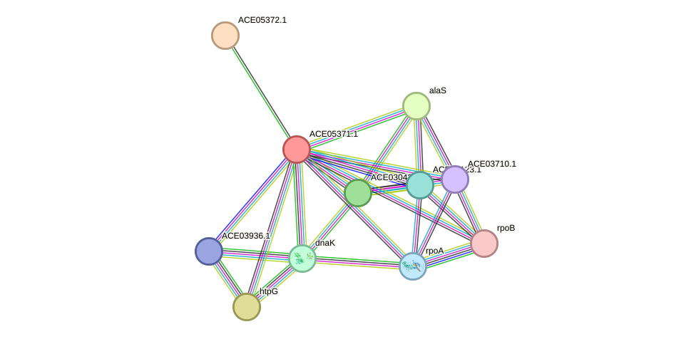 STRING protein interaction network