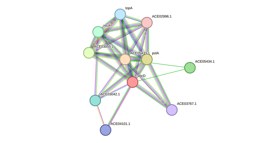 STRING protein interaction network