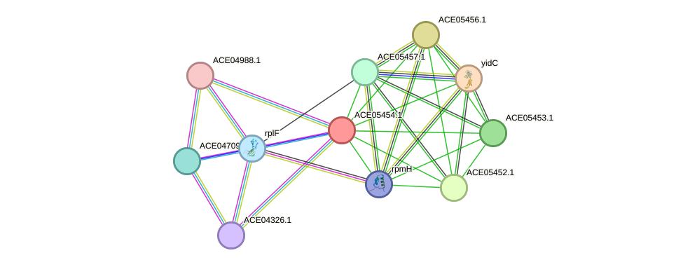 STRING protein interaction network