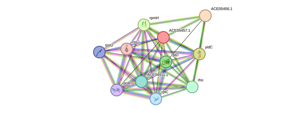 STRING protein interaction network