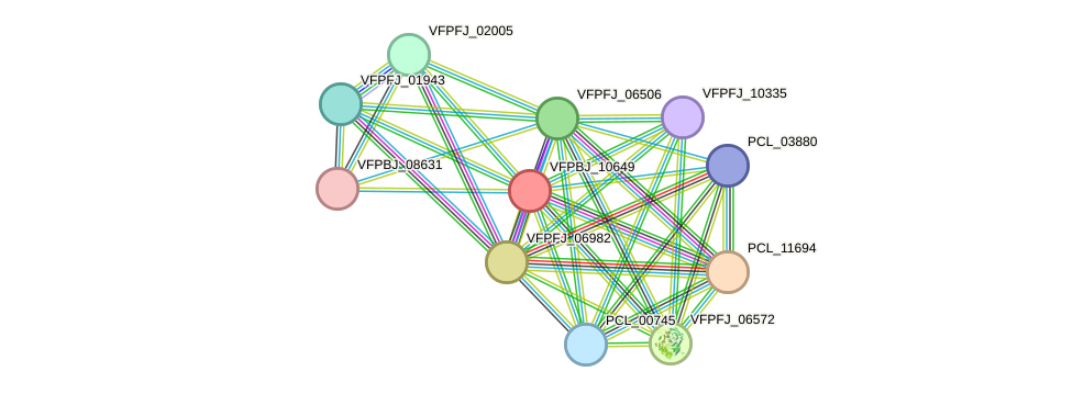 STRING protein interaction network