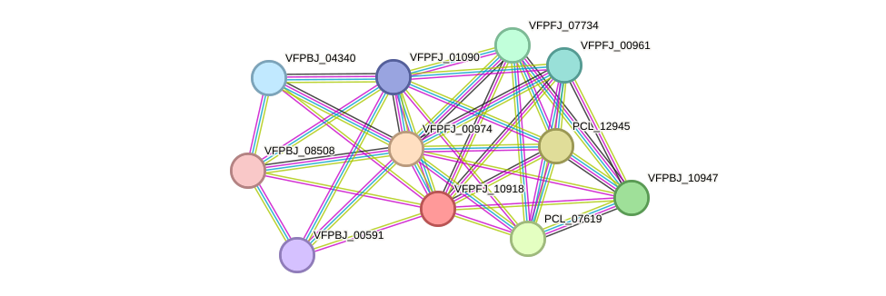 STRING protein interaction network