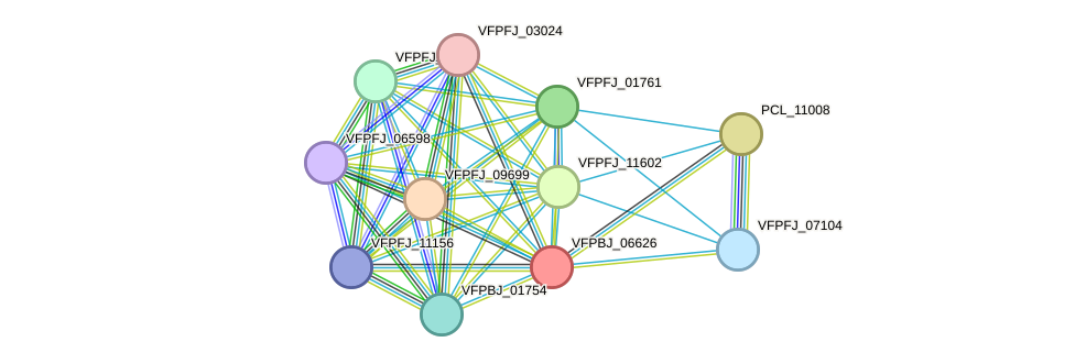 STRING protein interaction network