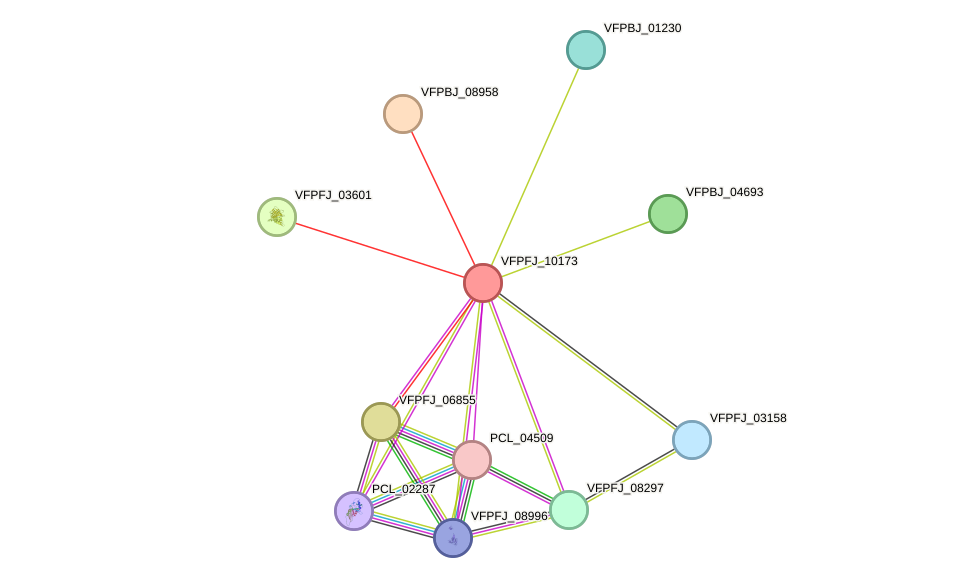 STRING protein interaction network