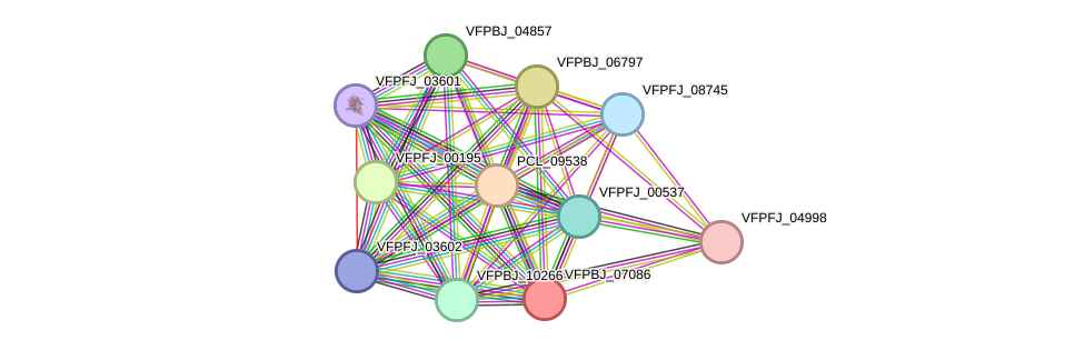 STRING protein interaction network