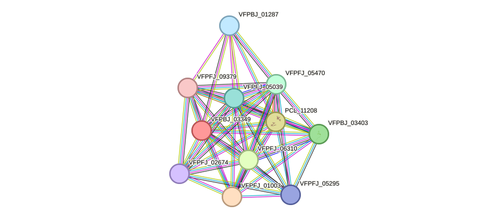 STRING protein interaction network