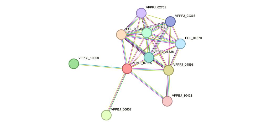 STRING protein interaction network