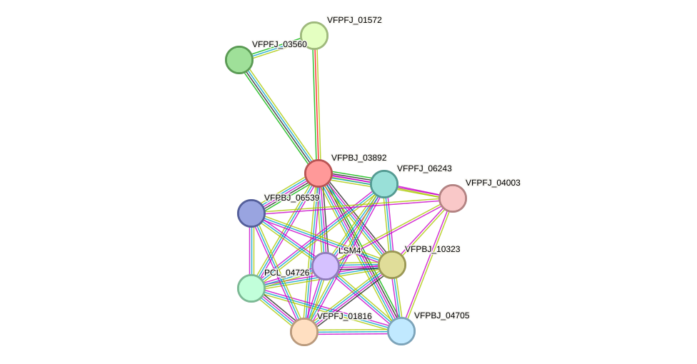 STRING protein interaction network