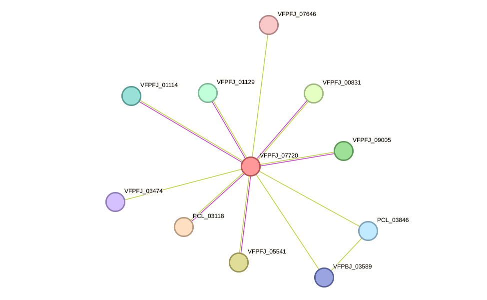 STRING protein interaction network