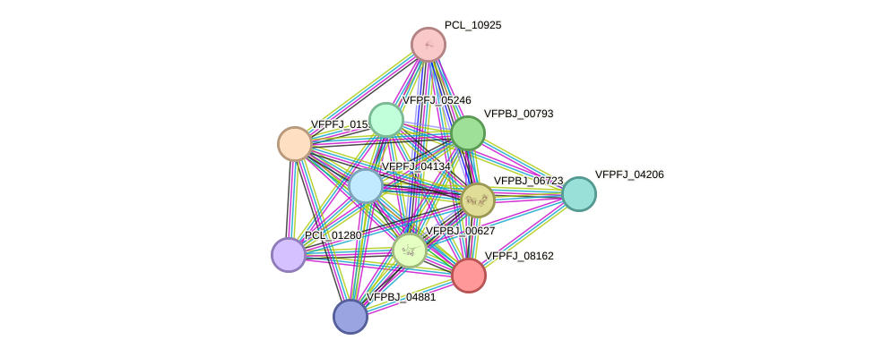 STRING protein interaction network