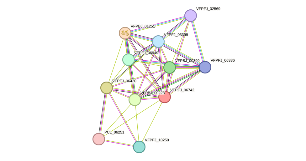 STRING protein interaction network