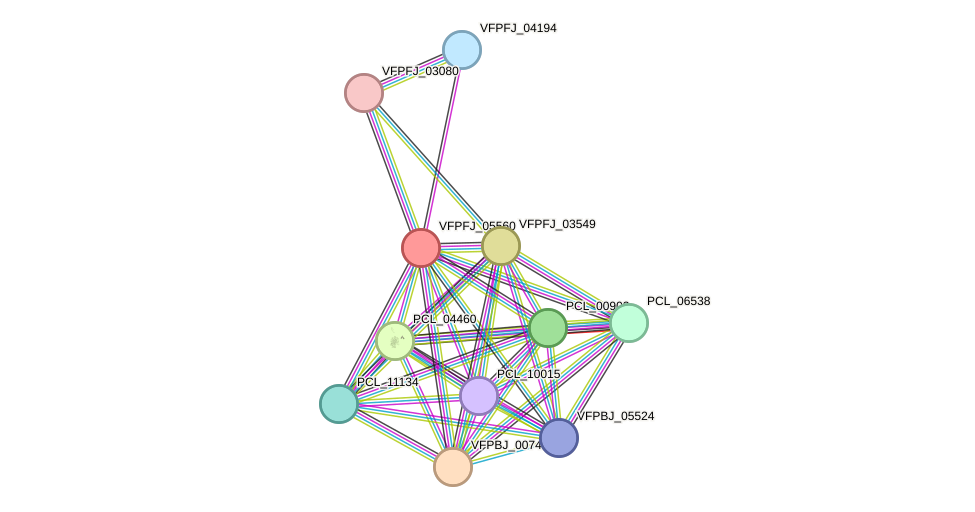 STRING protein interaction network