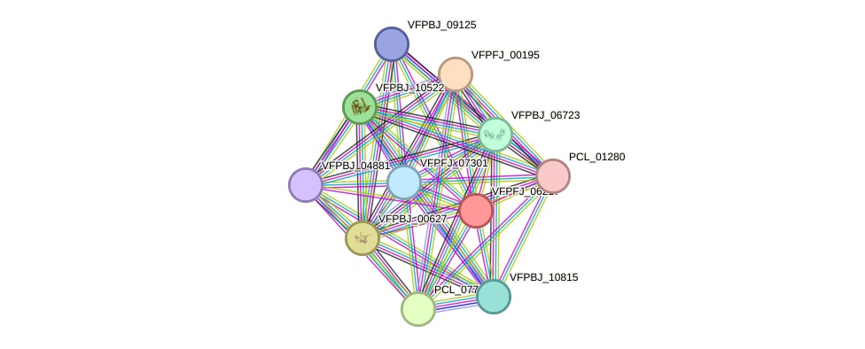 STRING protein interaction network