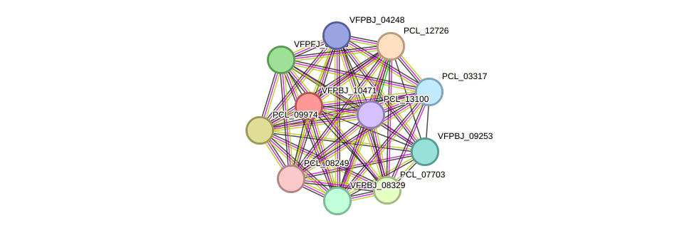 STRING protein interaction network