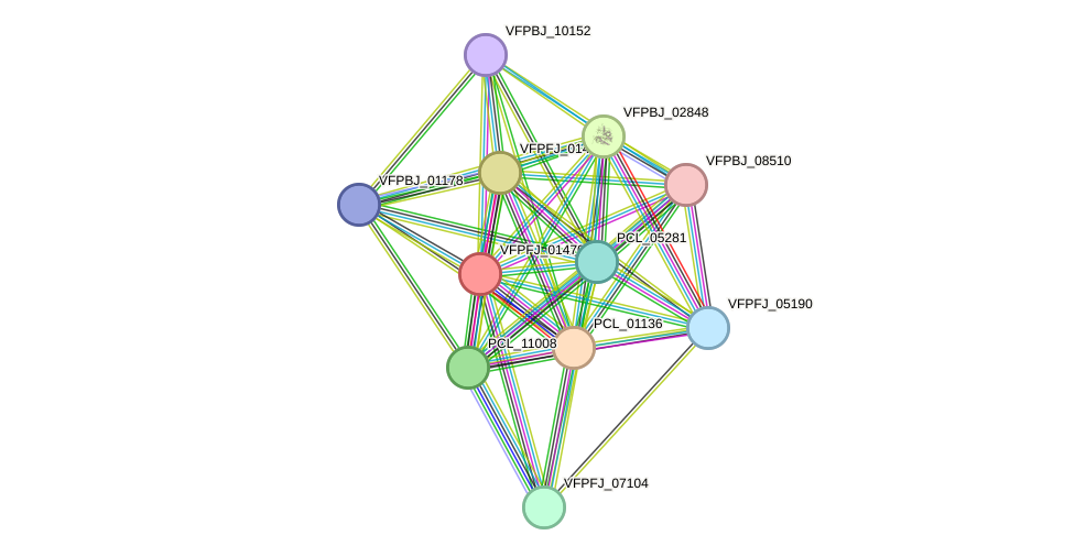 STRING protein interaction network