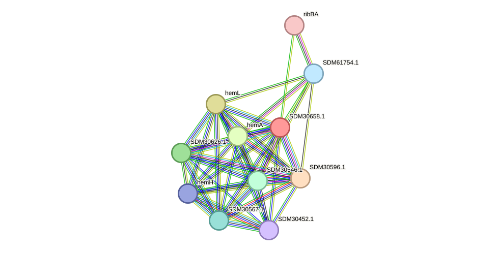 STRING protein interaction network