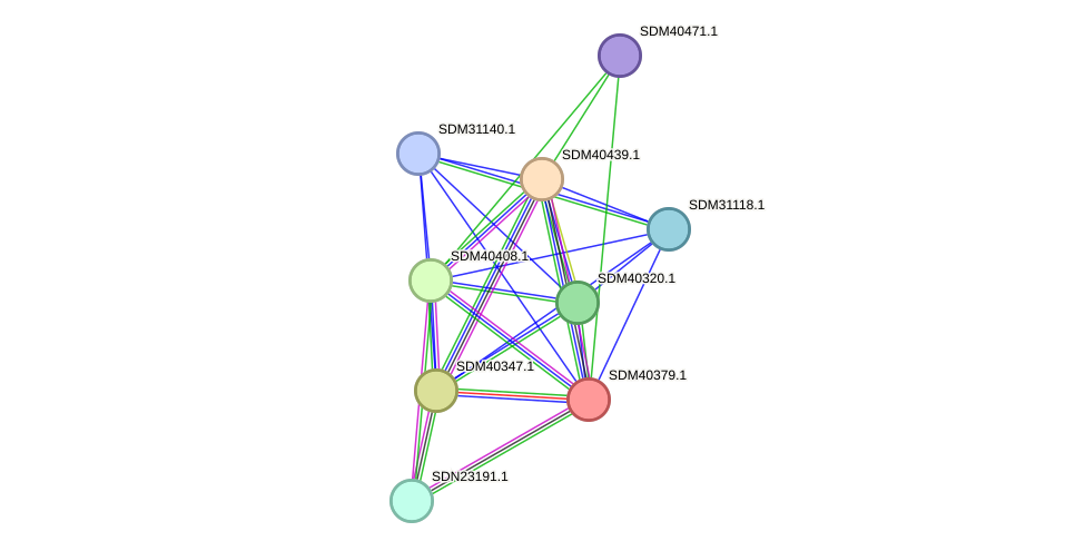 STRING protein interaction network