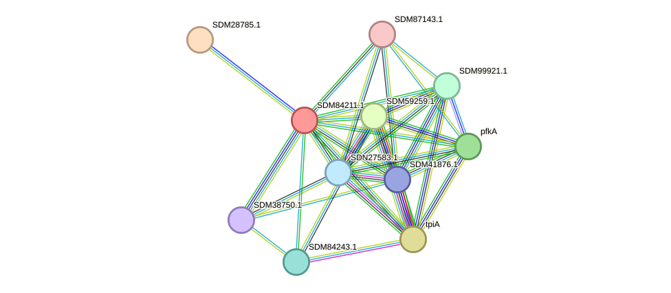 STRING protein interaction network