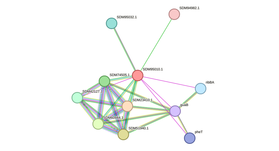 STRING protein interaction network