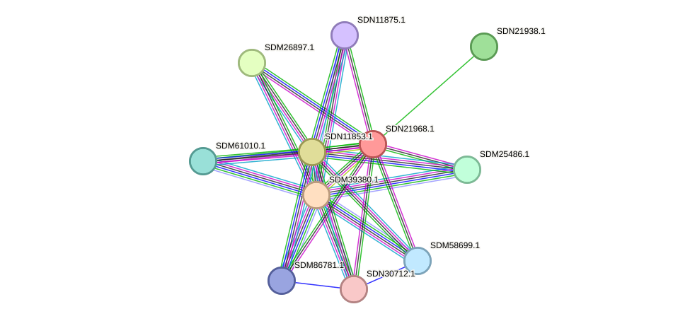 STRING protein interaction network