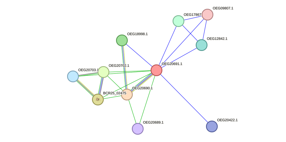 STRING protein interaction network