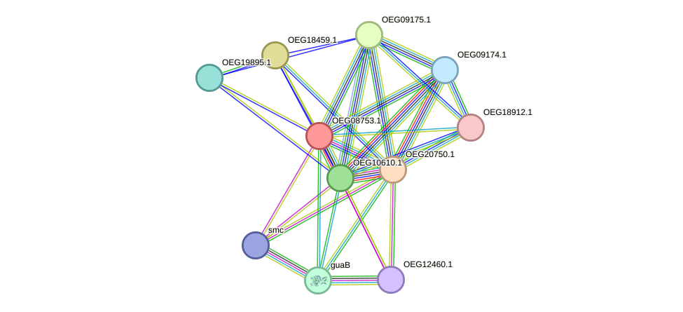 STRING protein interaction network