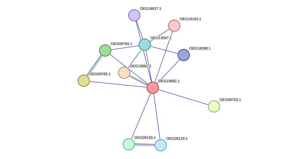 STRING protein interaction network