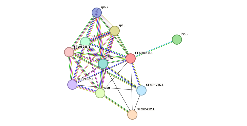 STRING protein interaction network