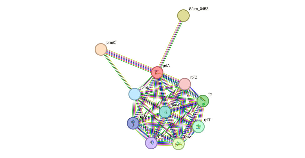 STRING protein interaction network