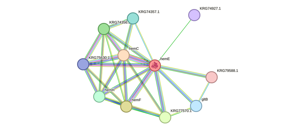 STRING protein interaction network