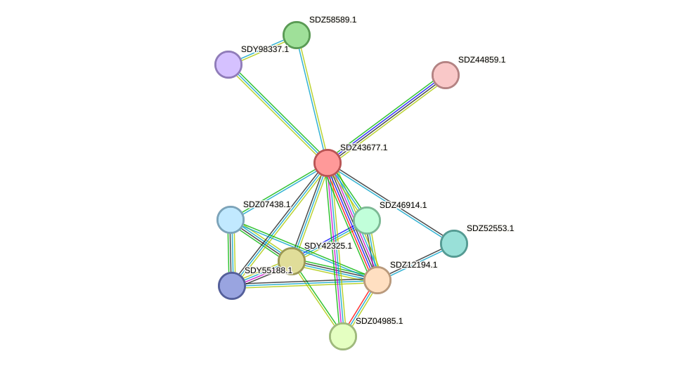 STRING protein interaction network