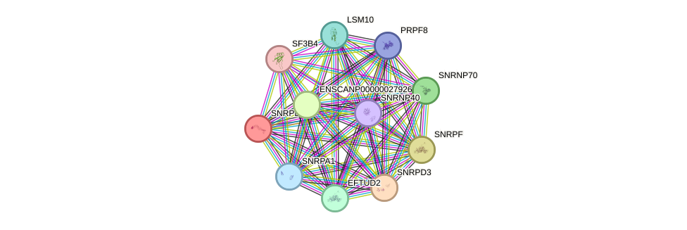 STRING protein interaction network