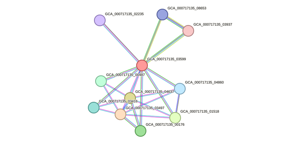 STRING protein interaction network