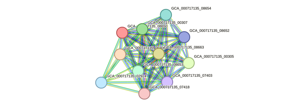 STRING protein interaction network