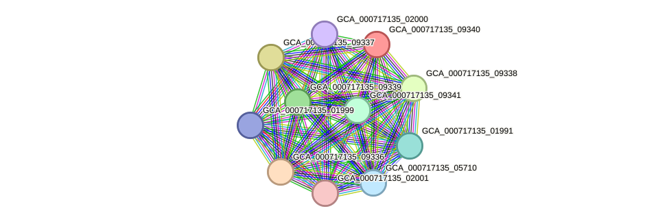 STRING protein interaction network