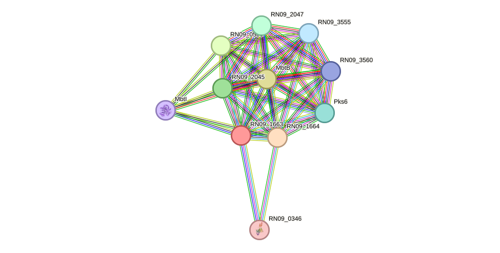 STRING protein interaction network