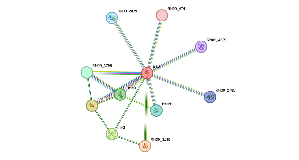 STRING protein interaction network