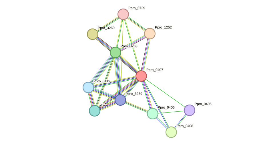 STRING protein interaction network