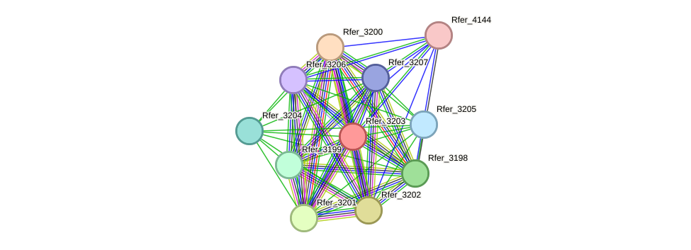 STRING protein interaction network