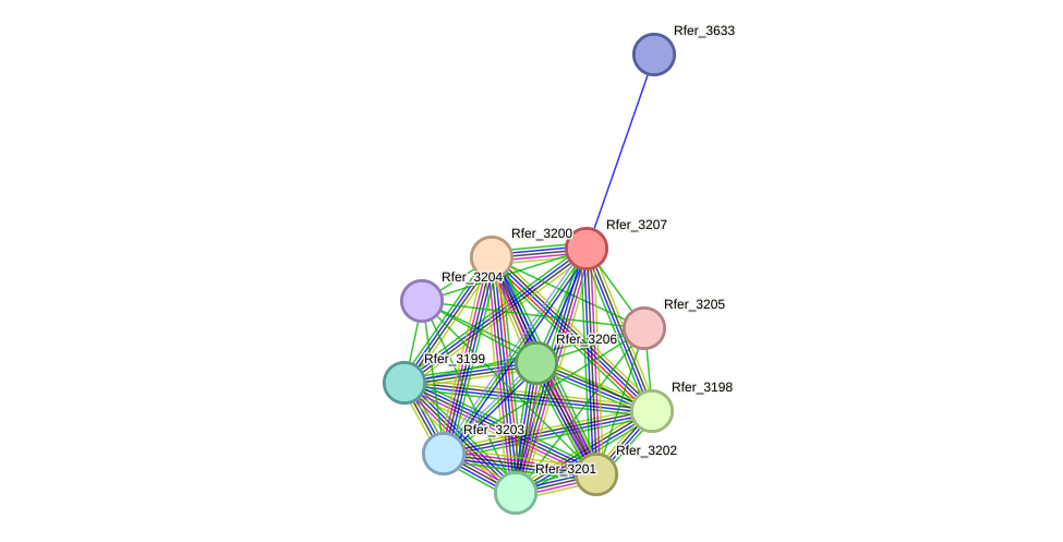 STRING protein interaction network