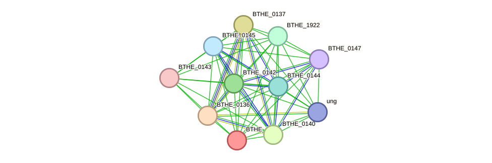 STRING protein interaction network